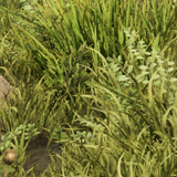 121fa2d8e303.png
