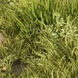 ca229c778c8d.png