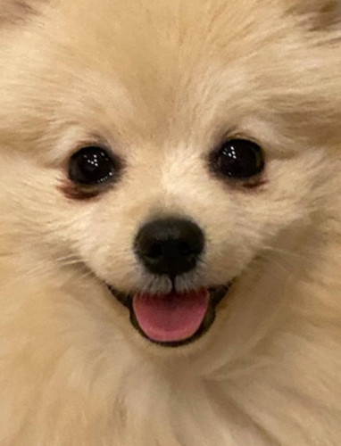 emma face.jpg