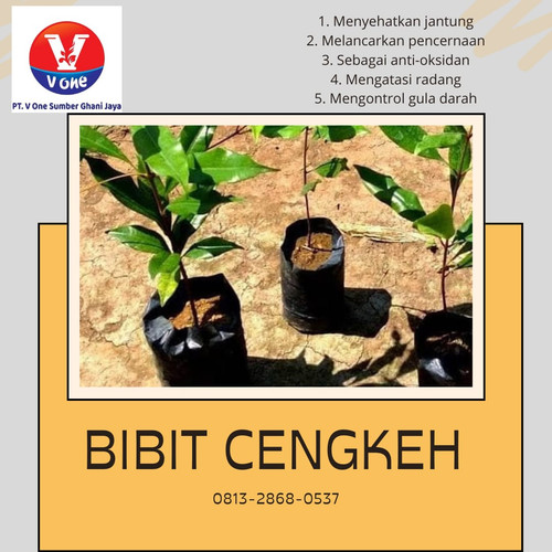 WhatsApp Image 2022 11 12 at 14.41.59.jpg