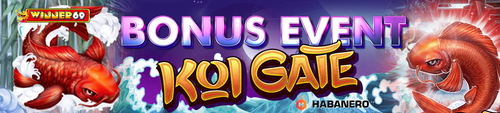KOI GATE BANNER.png
