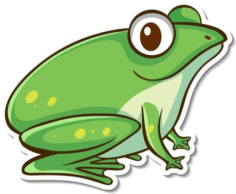 frog.jpg