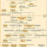 315079193 10221237021934855 5994318045910606015 n.jpg?stp=dst jpg p526x296&amp; nc cat=105&amp;ccb=1 7&amp; nc s