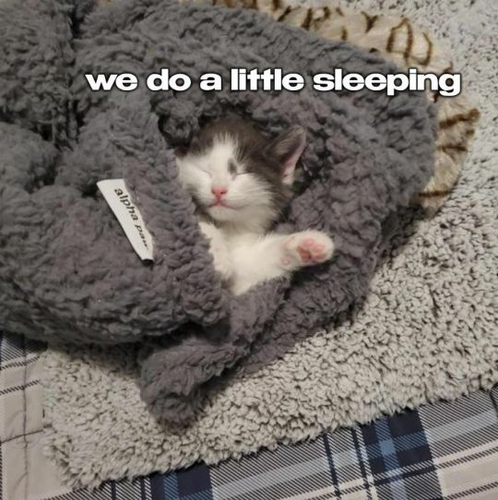 20221107 160301.png