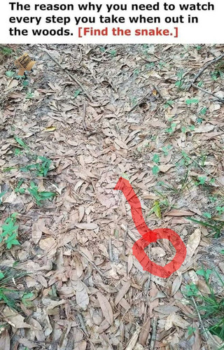 1668101122201.jpg