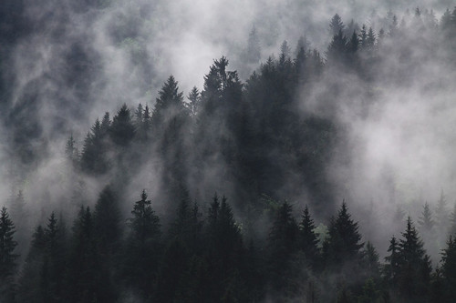 footer bg md.jpg