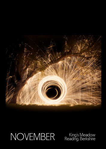Month 11 Wire Wool and Tree B.jpg