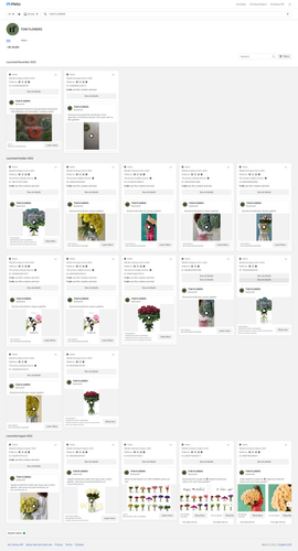 screencapture facebook ads library 2022 11 09 18 00 48.png