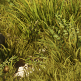 92b5d2ae1ae7.png