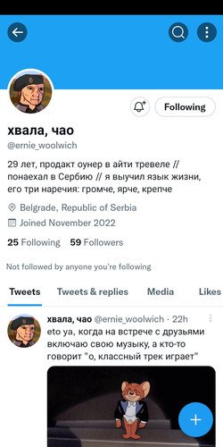 Screenshot 2022 11 14 16 24 15 277 com.twitter.android.jpg