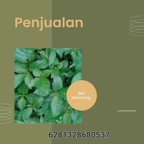 png 20221111 093619 0000.png