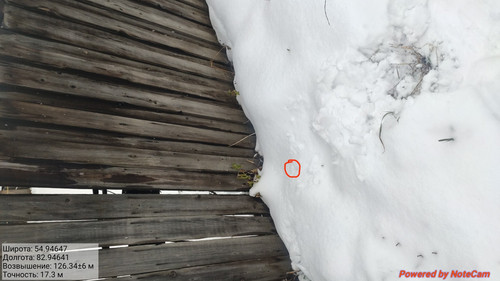 IMG 20221113 145443.jpg
