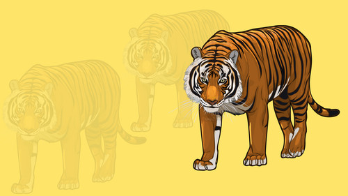 rantham1.jpg