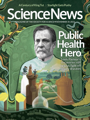 Science News – 19 November, 2022