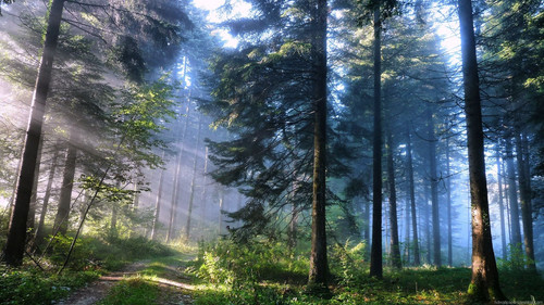 nature hd wallpapers nature full hd 1080p wallpapers nature 8.jpg