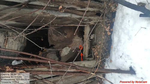 IMG 20221113 145933.jpg