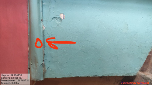 IMG 20221113 150359.jpg