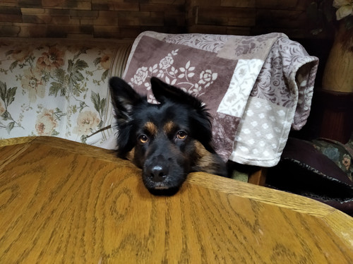 IMG 20221110 104049.jpg