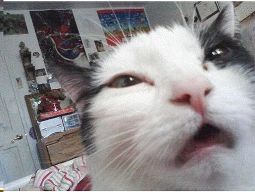 7C1FDB7F C539 4876 8856 F6A6FC19B201.png