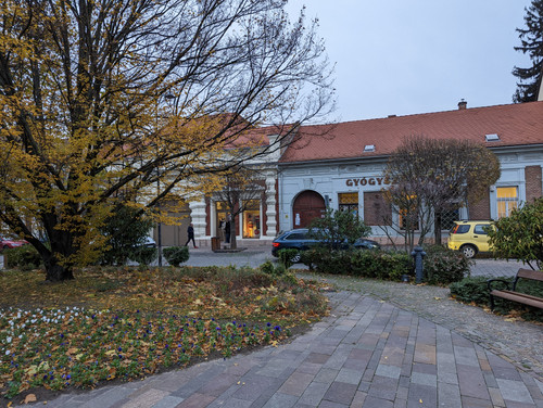PXL 20221110 150422281.NIGHT.jpg