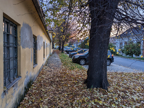 PXL 20221110 151901935.NIGHT.jpg