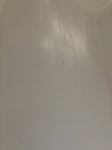 IMG 4536.jpg