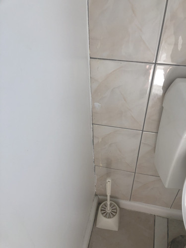 IMG 4549.jpg