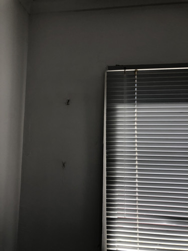 IMG 4583.jpg