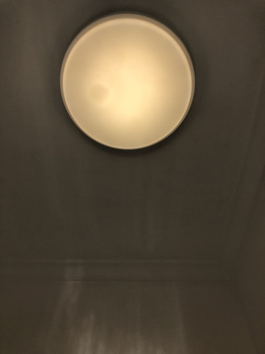 IMG 4573.jpg