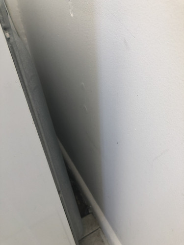 IMG 4586.jpg