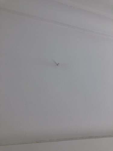 IMG 4581.jpg