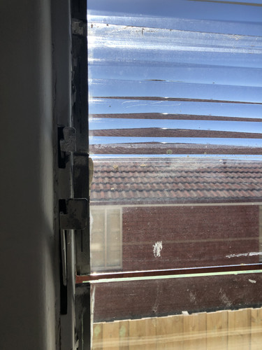 IMG 4567.jpg