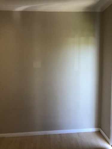 IMG 4324.jpg