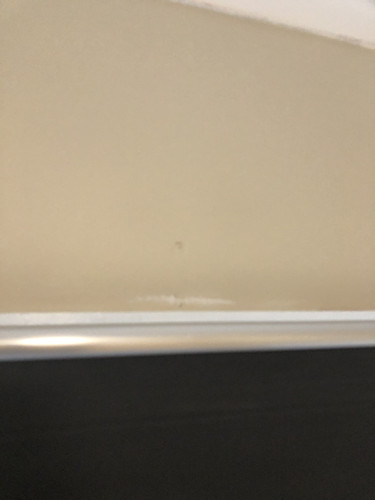 IMG 4341.jpg
