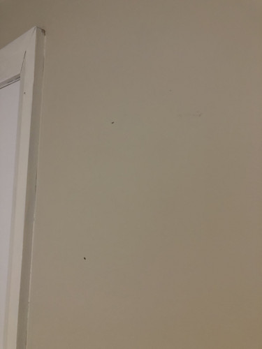 IMG 4320.jpg