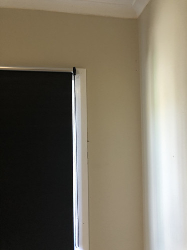 IMG 4342.jpg