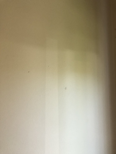 IMG 4332.jpg