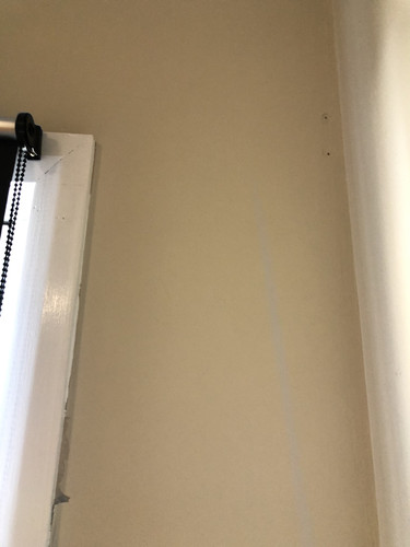 IMG 4347.jpg