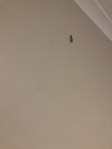 IMG 4318.jpg