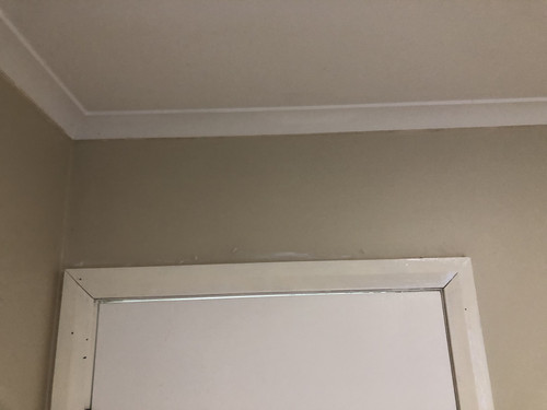 IMG 4365.jpg