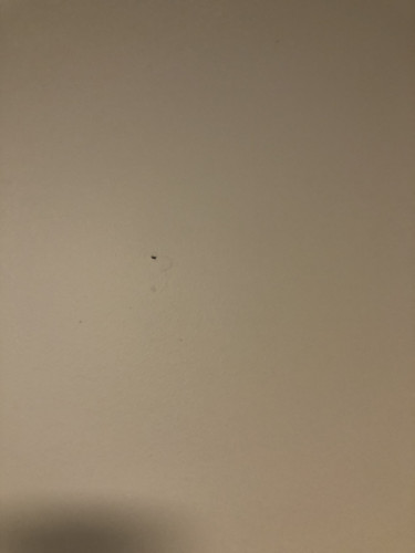 IMG 4359.jpg