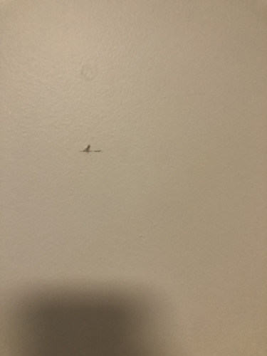 IMG 4358.jpg