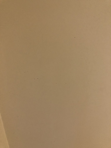 IMG 4353.jpg