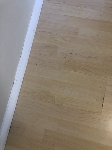 IMG 4378.jpg