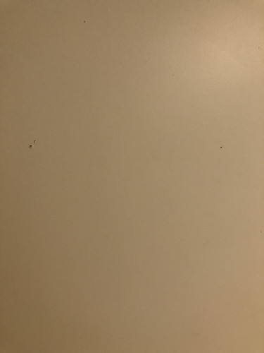IMG 4352.jpg