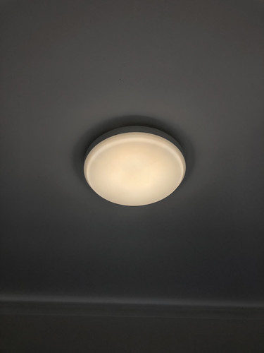 IMG 4241.jpg