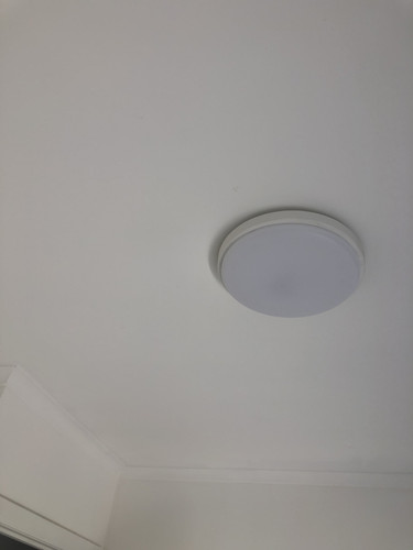 IMG 4239.jpg