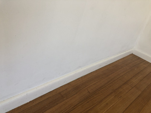 IMG 3889.jpg