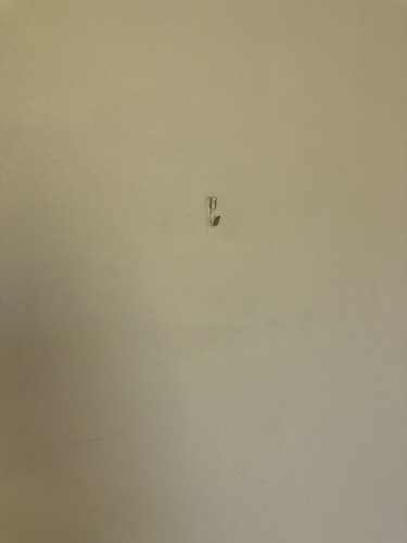 IMG 3879.jpg