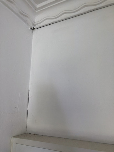 IMG 3876.jpg
